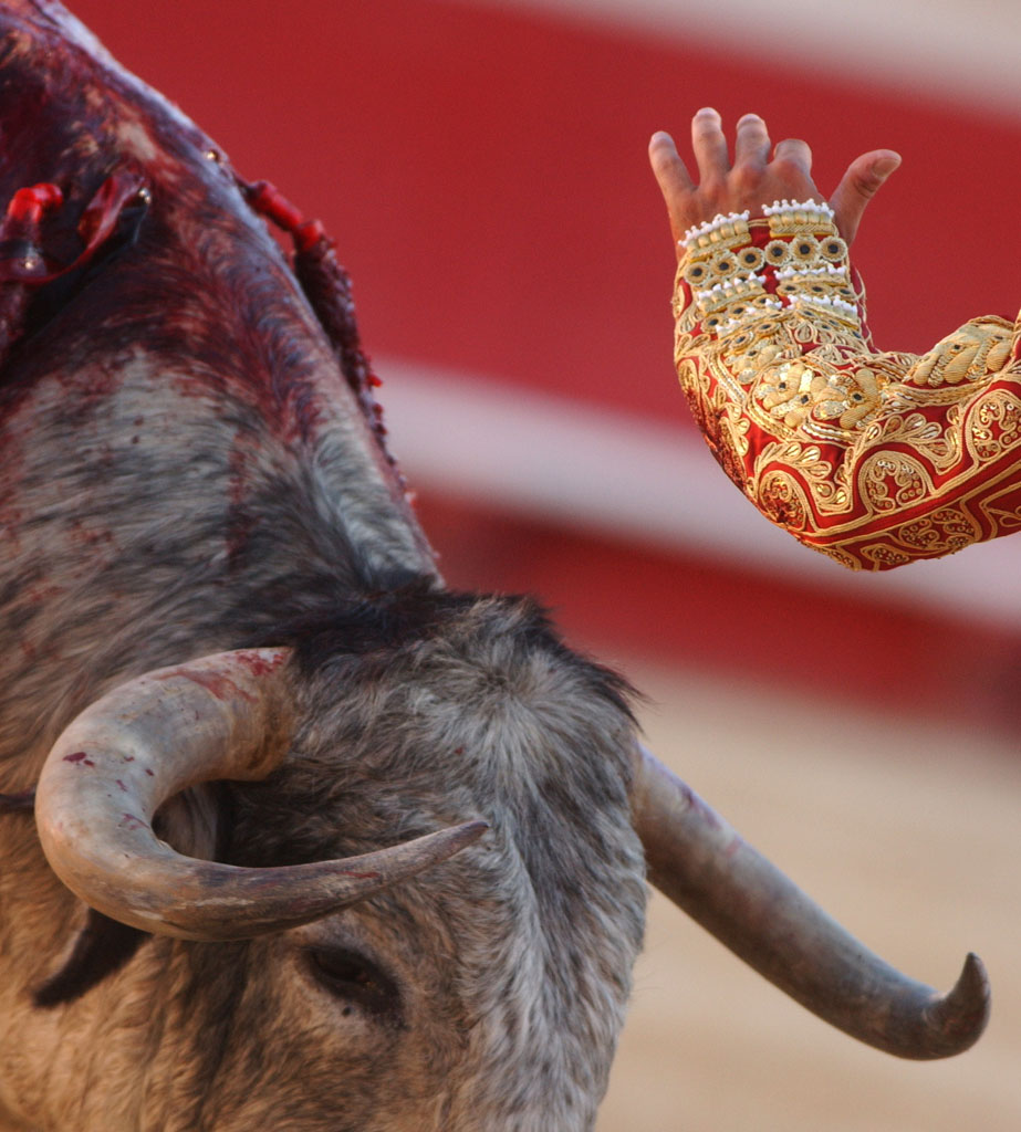 00/00/2007.Bloody details of Bullfighting.